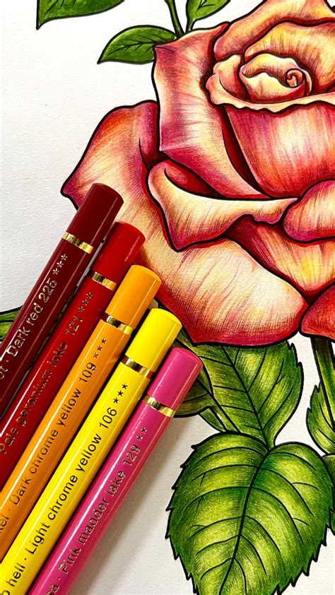 Coco Wyo Relaxing Coloring Books On Instagram 🌹 Rose Colored Pencils Combo 😊 Visit Our Etsy