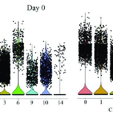 Feature Plots And Violin Plots For Genes In JAK STAT Pathway For Each