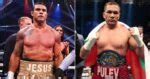 Vitor Belfort Accused Of Ducking Kubrat Pulev