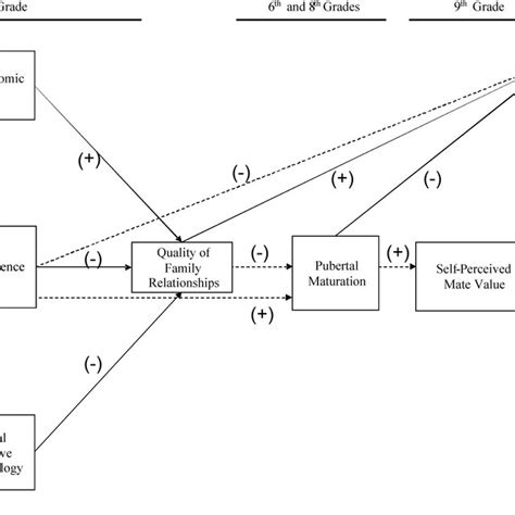 Theoretical Model Dashed Lines Represent Predicted Sex Differences In