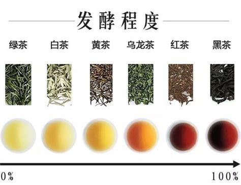 六大茶类1分钟看懂