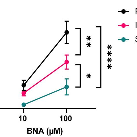 In Vitro N Acetyltransferase Catalytic Activities Towards Bna Data