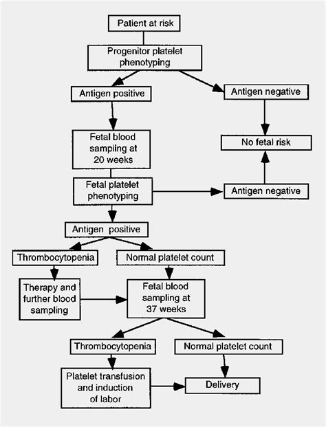 Management Of Fetal And Neonatal Alloimmune Thrombocytopenia Semantic