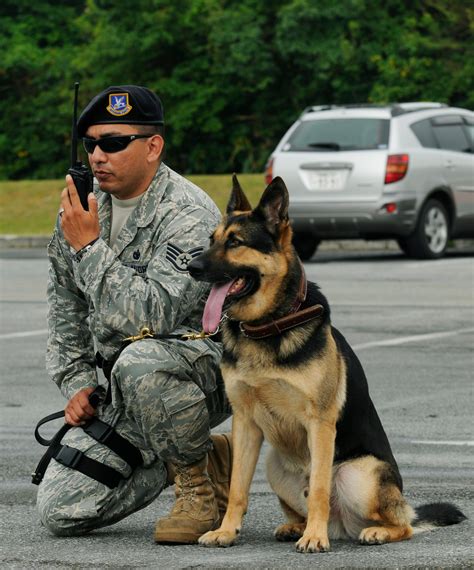 Airmen Military Dogs Working Together Kadena Air Base News