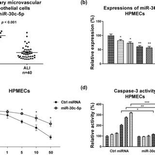 Roles Of NORAD In The LPS Induced HPMEC Cell Injury A Primary HPMECs