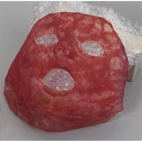 simulated face burn lfu   nasco cpr savers   aid