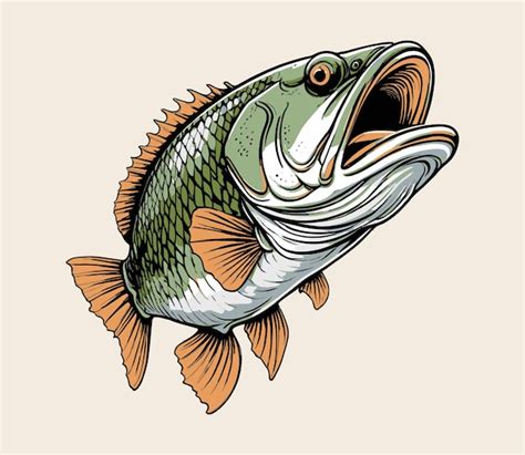 Premium Vector Comic Style Big Bass Fish Vector