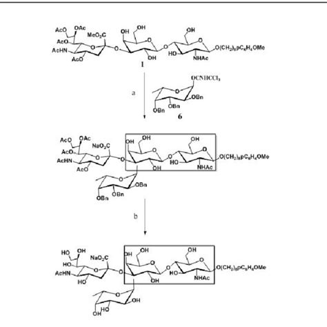 Spectrum Of The Sialyl Lewis X Related Tetrasaccharide Library