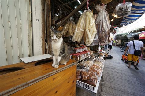 Tai O Fishing Village – A Tour of Traditions | Walk in Hong Kong