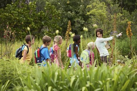 Comment Et Où Se Pratique La Pédagogie Par La Nature Prof Innovant