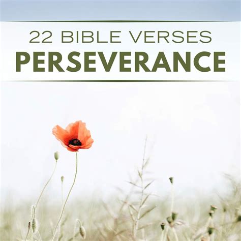 22 Bible Verses About Perseverance