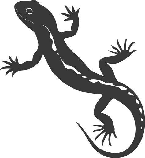 Silhouette salamander animal black color only 44638010 Vector Art at