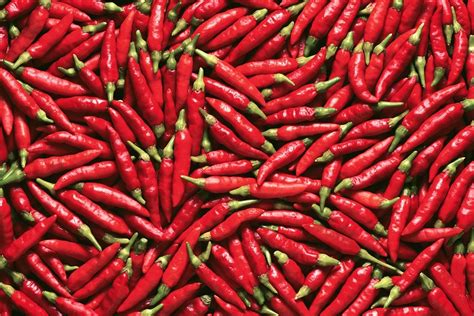 The Science of Hot Chili Peppers - JSTOR Daily