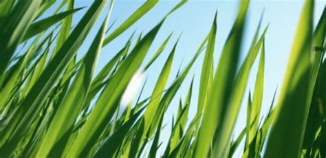 natural  organic whats  difference andrea dekker