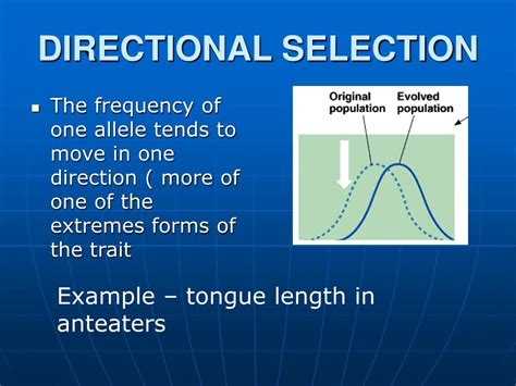 Selection examples