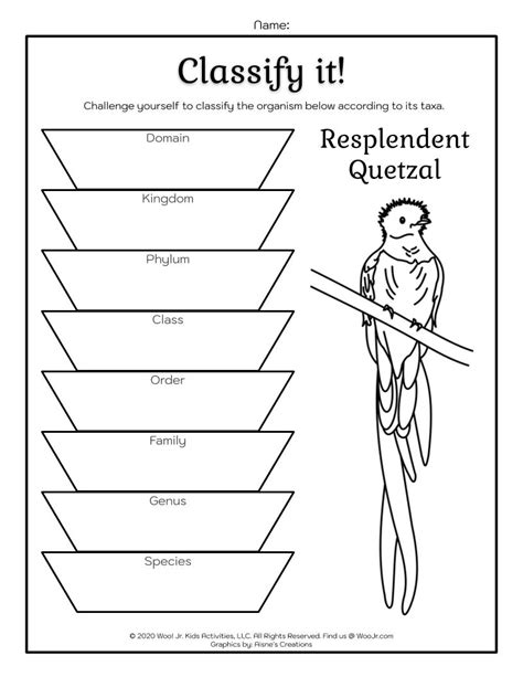 Classification System Science Lesson: Learning Taxonomy | Woo! Jr ...