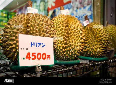 durian fruit  tokyo  res stock photography  images alamy