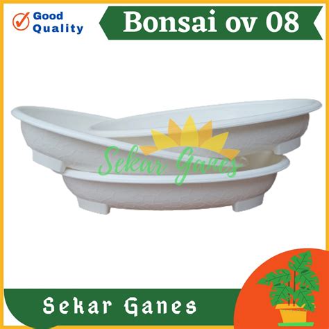 Jual Ori Bjp Bonsai Oval Ov Putih Pot Bunga Plastik Bonsai Budi Jaya