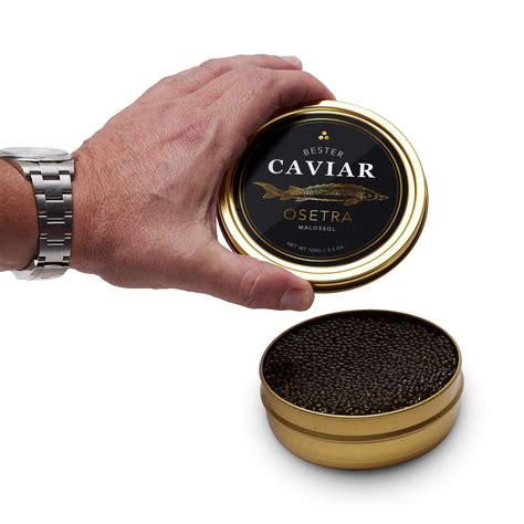 Premium Siberian Sturgeon Caviar, 45% OFF | www.elevate.in