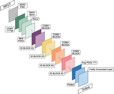 Structure Diagram Of Resnet 50 Download Scientific Diagram