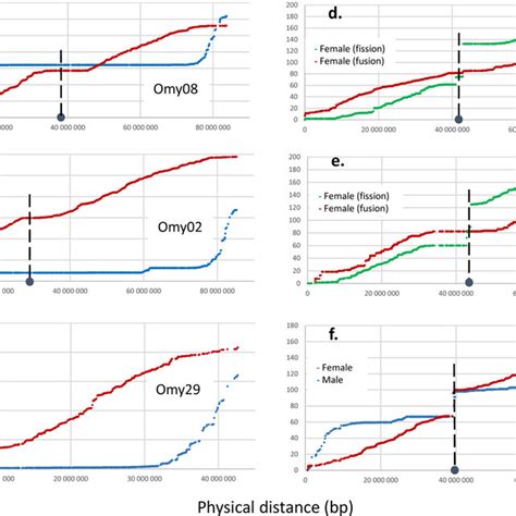 High Density Linkage Maps Describing Characteristic Sex Specific