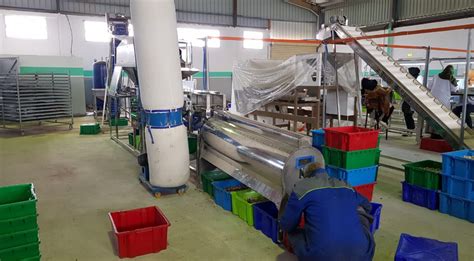 Automatic Cashew Processing Plant 3TPD New Model Cashew Machine