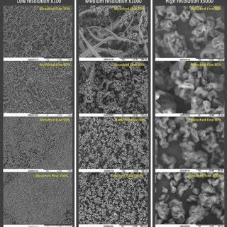 SEM Micrographs Of Cellulose Nanofibrils With Different Fine Levels Of