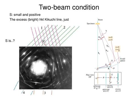 Ppt Contrast In Tem And Stem Powerpoint Presentation Free Download