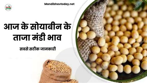 आज के सोयाबीन के ताजा मंडी भाव Aaj Ke Soyabean Ke Mandi Bhav 10 January 2024