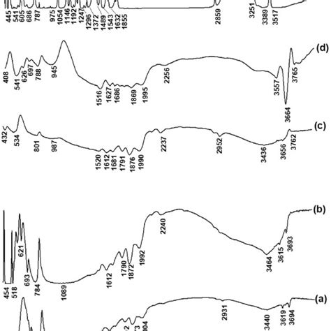 Ftir Spectra Of Fs Swfs And Fsc Treated At 1000°c With And Without Ss Download Scientific