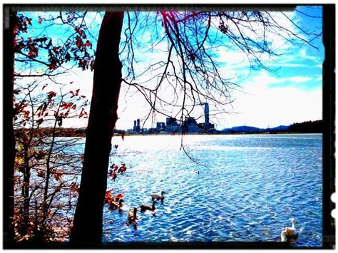 Duke Power Plant on, Lake Julian NC | Power plant, Lake, Asheville nc