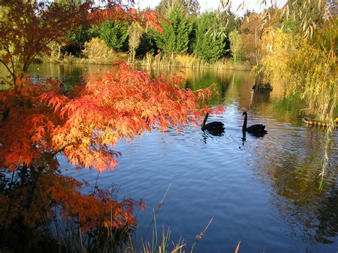 Luxury Lodges – Woody Park