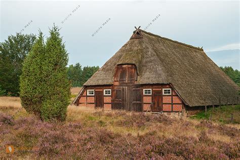 Alter Schafstall In Der L Neburger Heide Bild Bestellen Naturbilder