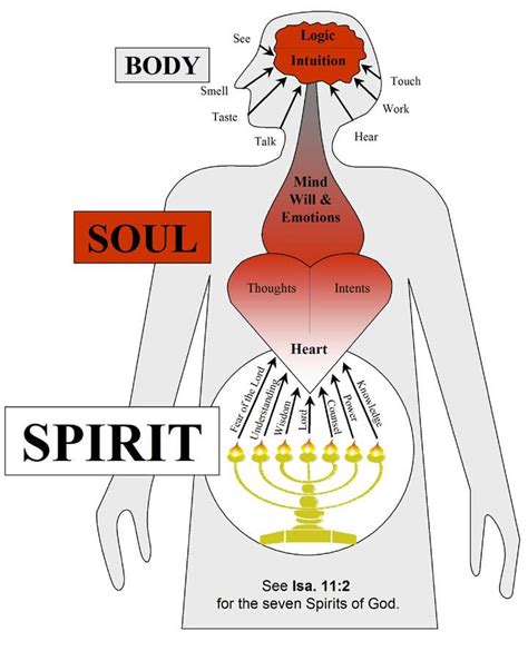 Christian Infographics Adamlickey Artofit