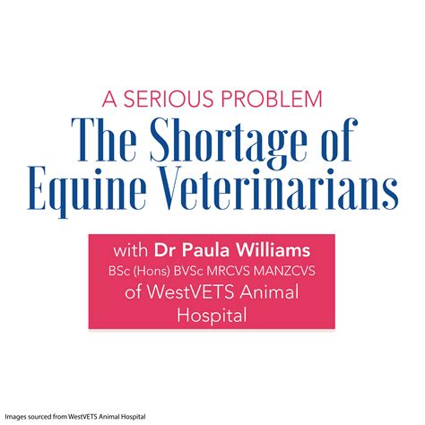 The Shortage of Equine Veterinarians – Dr. Paula Williams of WestVETS