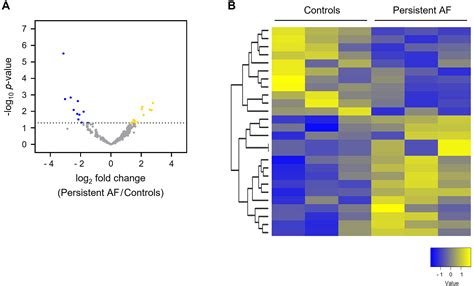 Serum Exosomal Long Noncoding Rnas As A Diagnostic Biomarker For Atrial