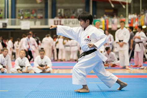 JKA World Karate Championships 2017 Attracts huge crowds to UL