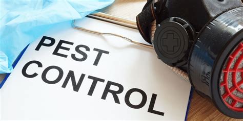 How Often Should You Have A Pest Inspection Abc Pest Control Sydney