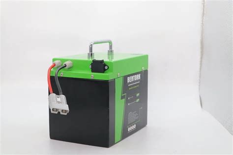 V Ah Lithium Ion Battery Pack With Smart Bms Ip Can For