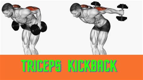 DUMBBELL KICK BACK TRICEP Tricep Kickback Dumbbell Kickback YouTube