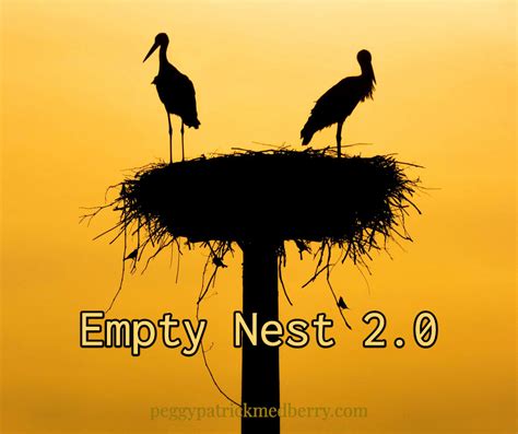 Empty Nest 2.0