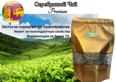 Серебряный Чай Из Шри-Ланки - купить с доставкой по выгодным ценам в ...