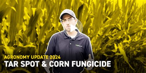 Tar Spot And Corn Fungicide Ohio Ag Net Ohio S Country Journal