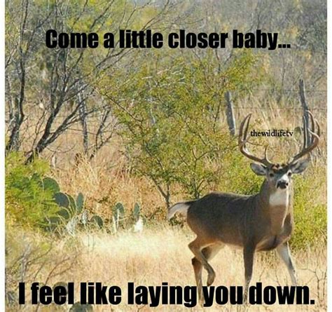 Funny Deer Hunting Quotes - ShortQuotes.cc