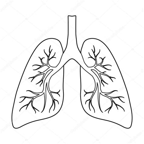 Human Lungs Outline Body Pages Coloring Colouring Printable Drawing