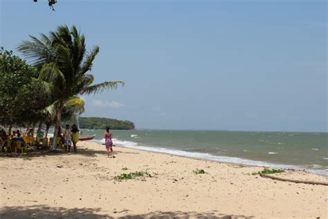 Praias Na Ilha De Maraj Para Visitar E Se Apaixonar Viagens E Rotas