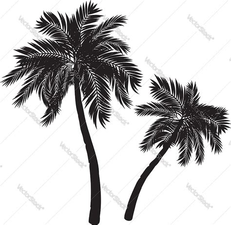 Palm Tree Silhouette Vector Eps Ai Uidownload