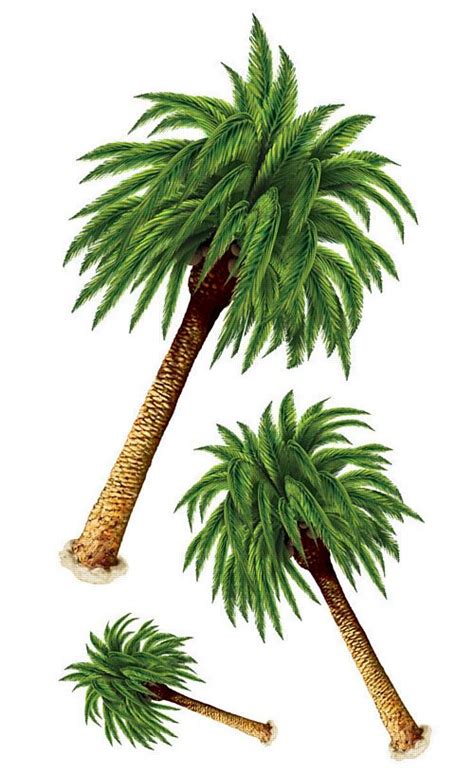 Pack Of 6 Palm Tree Props 122m Party Packs