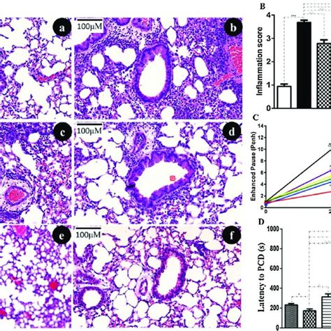 A Histopathological Analysis Of Lung Tissues Hematoxylin And Erosin