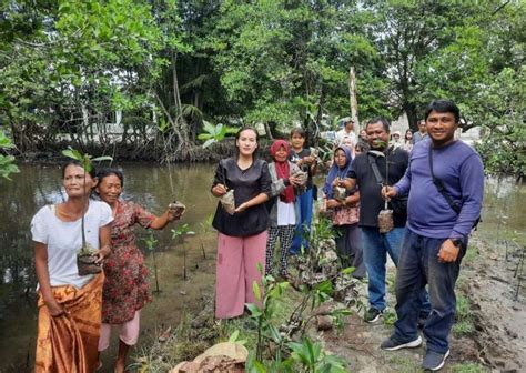 Kurangi Emisi Karbon Yayasan Distara Dan FP UISU Tanam Mangrove Di